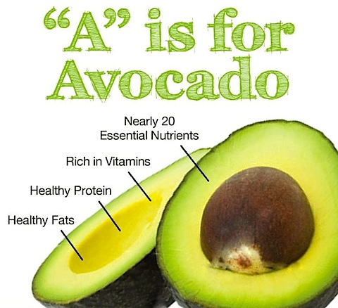 avocado 4.jpg